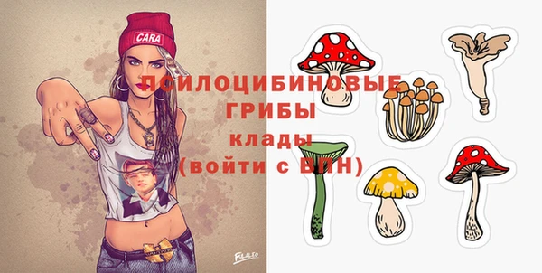 СК Алзамай
