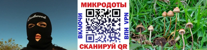 OMG   Грайворон  Галлюциногенные грибы мухоморы 